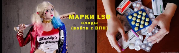ПСИЛОЦИБИНОВЫЕ ГРИБЫ Алексеевка
