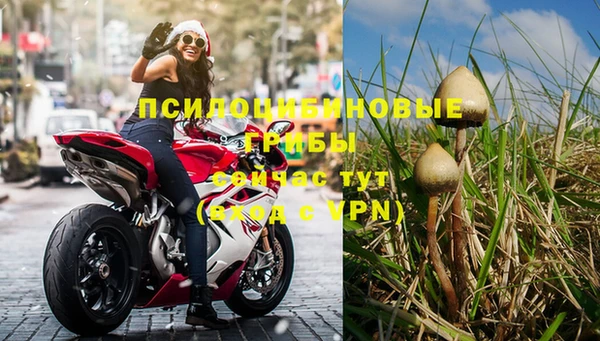 дживик Елизово