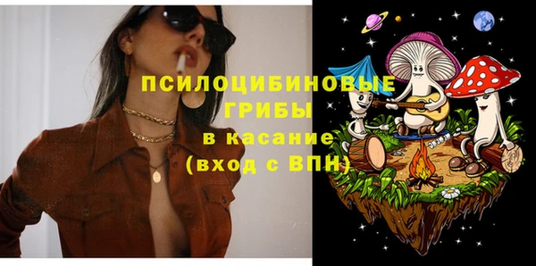 дживик Ельня