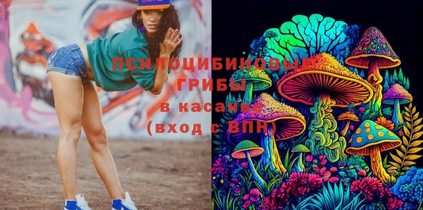 ПСИЛОЦИБИНОВЫЕ ГРИБЫ Алексеевка