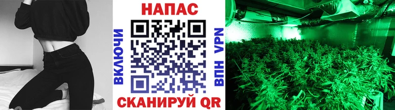omg ССЫЛКА  Кирсанов  Каннабис White Widow  магазин продажи наркотиков 